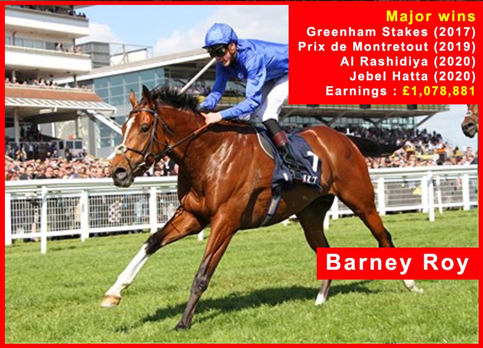 Barney Roy - Race Horse
